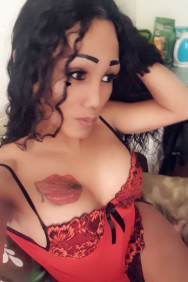 Bonjour a tout j'e sui une belle transexuall bon corps forme j'e voule passe un bon momento avec nous gross bisous a tous